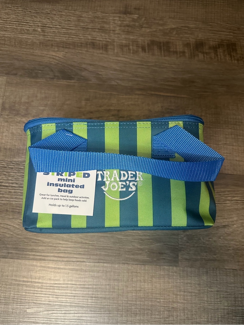 NWT Trader Joe’s Mini Insulated Tote / Cooler Bag Blue Striped (2026 Release)